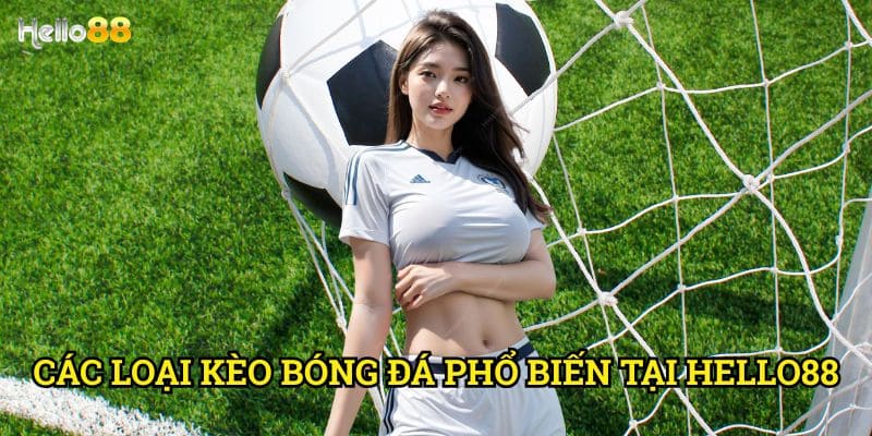 Hướng dẫn soi kèo bóng đá Hello88 - Bí quyết thắng lớn từ chuyên gia 2 Các loại kèo bóng đá phổ biến tại Hello88