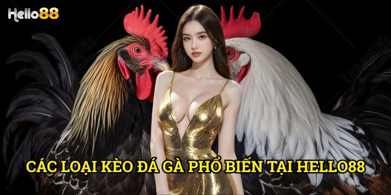 Cách đặt cược đá gà ăn tiền Hello88 - Phương pháp tối ưu lợi nhuận 2 Các loại kèo đá gà phổ biến tại Hello88