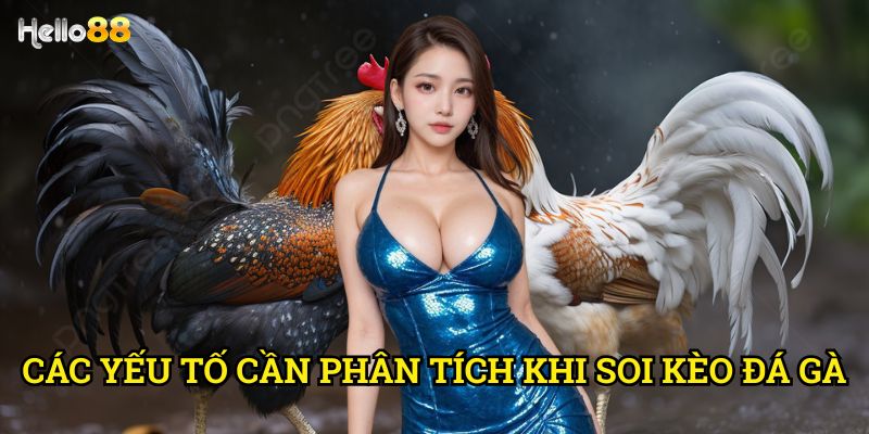 Kỹ thuật soi kèo đá gà chính xác Hello88 - Phương pháp từ chuyên gia 2 Các yếu tố cần phân tích khi soi kèo đá gà