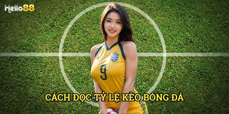 Cách đọc tỷ lệ kèo bóng đá Hello88 - Giải mã các con số chuẩn xác