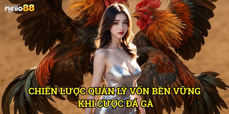 Chia sẻ cách chơi đá gà không thua Hello88 - Bí quyết từ cao thủ lâu năm 2 Chiến lược quản lý vốn bền vững khi cược đá gà