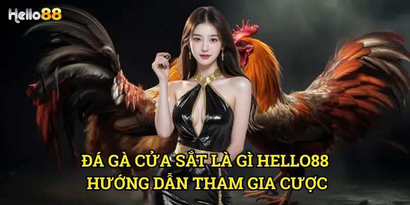 Đá gà cửa sắt là gì Hello88 - Giải mã hình thức cược đặc biệt 2025 3 Đá gà cửa sắt là gì Hello88 hướng dẫn tham gia cược