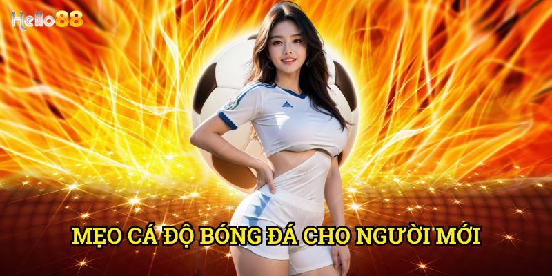 Mẹo cá độ bóng đá cho người mới Hello88 - Hướng dẫn từ A-Z