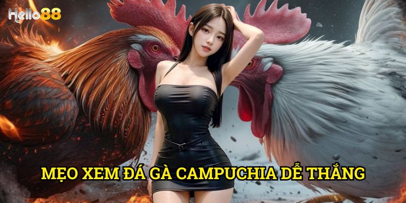 Mẹo xem đá gà Campuchia dễ thắng Hello88 - Hướng dẫn cược thông minh