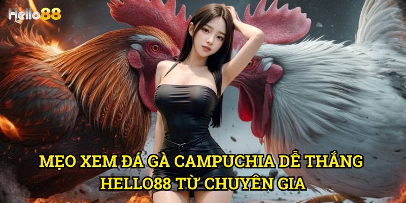 Mẹo xem đá gà Campuchia dễ thắng Hello88 - Hướng dẫn cược thông minh 3 Mẹo xem đá gà Campuchia dễ thắng Hello88 từ chuyên gia
